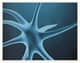 Slider image (9) ADIVA | Stem Cell Therapy Center